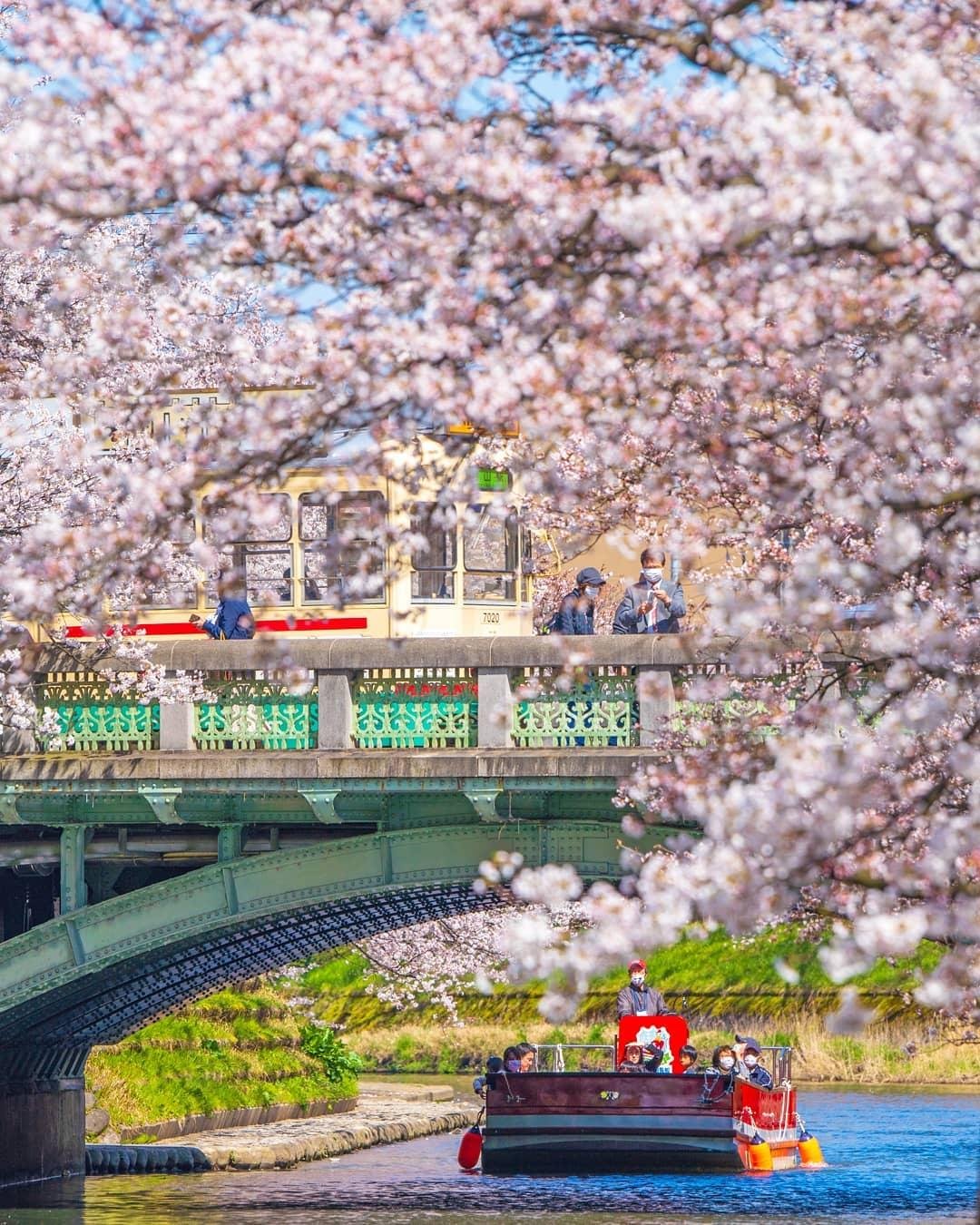 🏞️ 쇼가와 물 기념 공원(쇼가와미즈키넨코엔) 이미지 12
